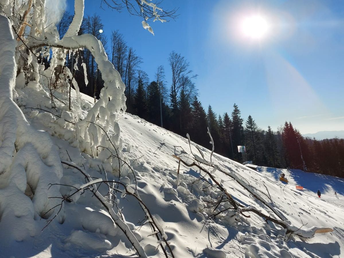 Naša novost broj dva